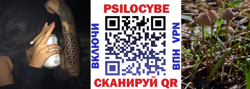 Галлюциногенные грибы мухоморы  где найти   Чита 